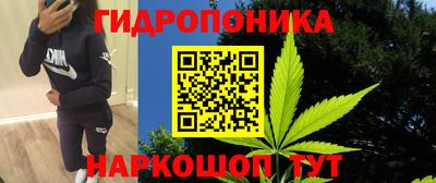 спиды Краснознаменск