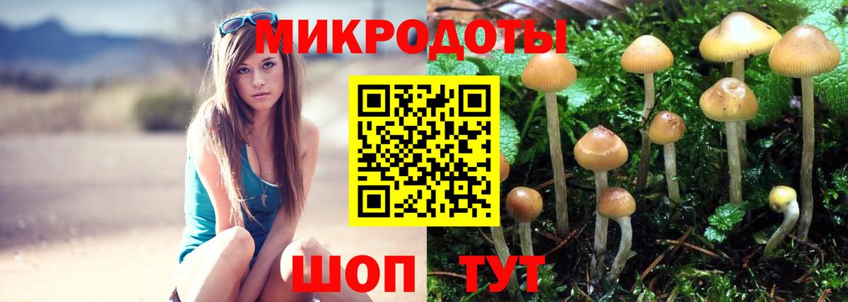 Псилоцибиновые грибы MAGIC MUSHROOMS  Вход с VPN  Учалы  Галлюциногенные грибы ЛСД 